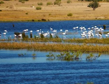 Nau Salgados Lagoas 4* 알부페이라