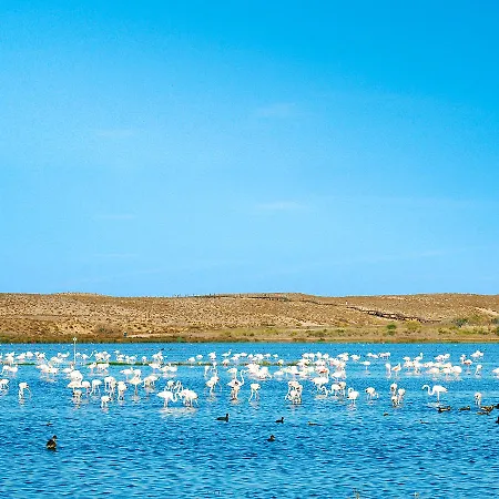Nau Salgados Lagoas